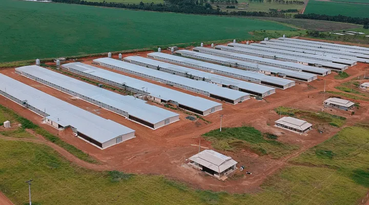 Construção do Núcleo de criação com capacidade de 480 mil aves alojadas, com tecnologia de ponta, monitoramento e gerenciamento à distância, garantindo mais eficiência, menor custo e maior qualidade, projeto agora alinhado com as novas diretrizes da empresa.