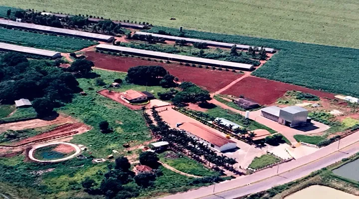 Em 1996 ocorreu o aumento da produção de 42 mil para 112 mil aves no plantel, sendo construída a primeira granja com sistema automático de distribuição de ração e água. Com o investimento, o abate passou de 1.000 aves/dia para 2.500 aves/dia.
Também, visando a melhoria na produção, entre os anos de 1998 e 2000, o foco foi na construção da nossa fábrica de rações. Essa ampliação foi mais um investimento feito para melhorar ainda mais os processos produtivos e levar até a mesa dos consumidores produtos fresquinhos e de alta qualidade.
